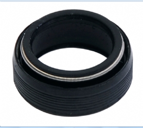 Oil Seal OS-250093